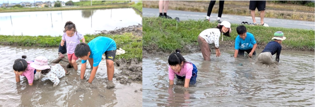 【開催報告】泥んこ笑顔が弾ける！田植え体験イベントを実施しました🌾
